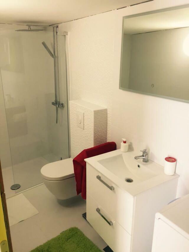 Apartman Crnica شيبينيك المظهر الخارجي الصورة