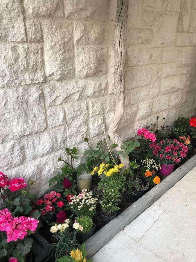 Apartman Crnica شيبينيك المظهر الخارجي الصورة